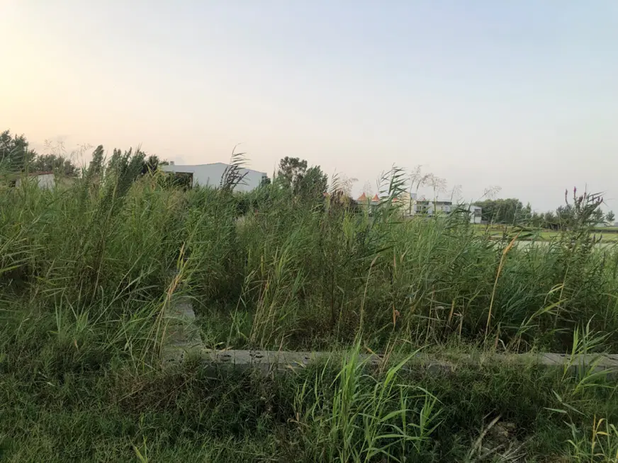 زمین سومین پلاک خیابان اصلی