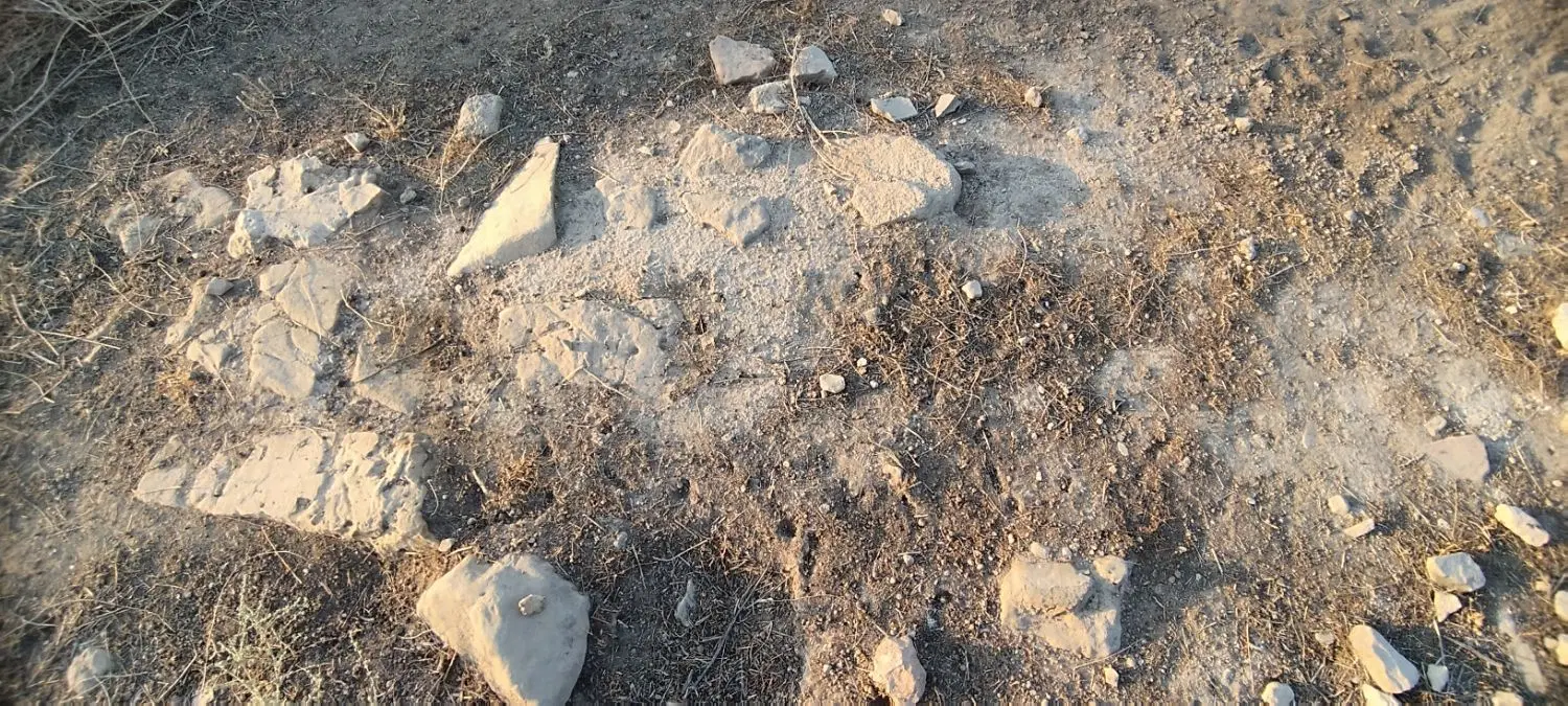 زمین معلمیان