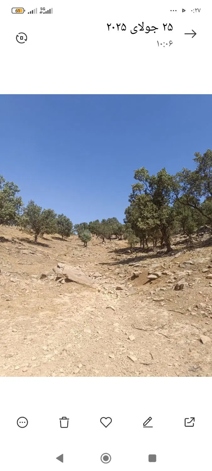 زمین مسکونی