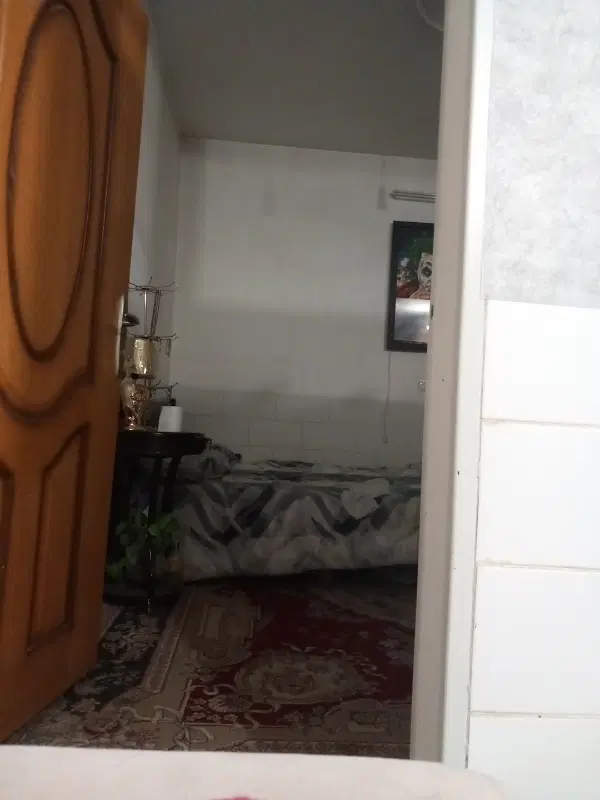 هم خونه ای