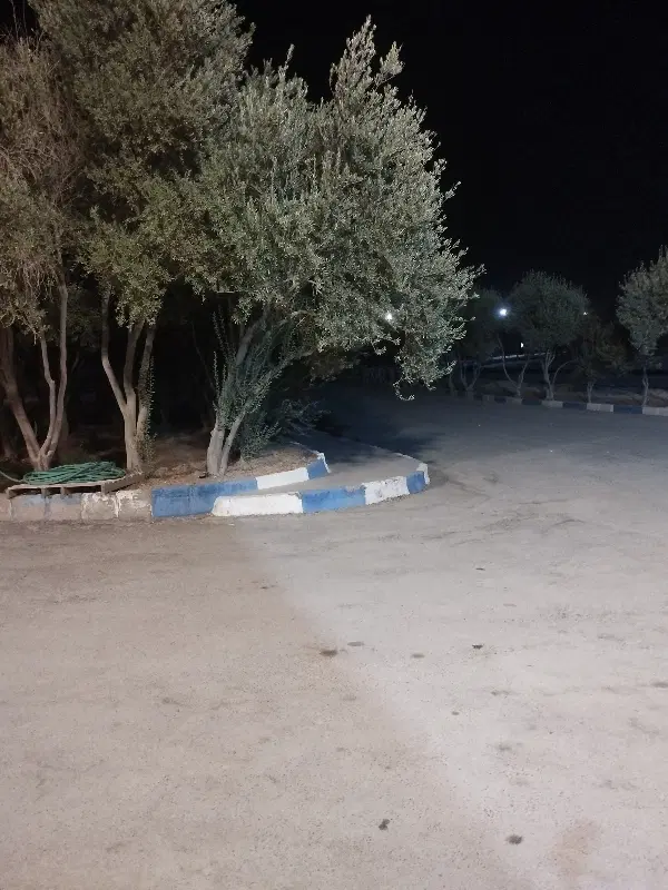 دونبال خونه اجاره ای هستم