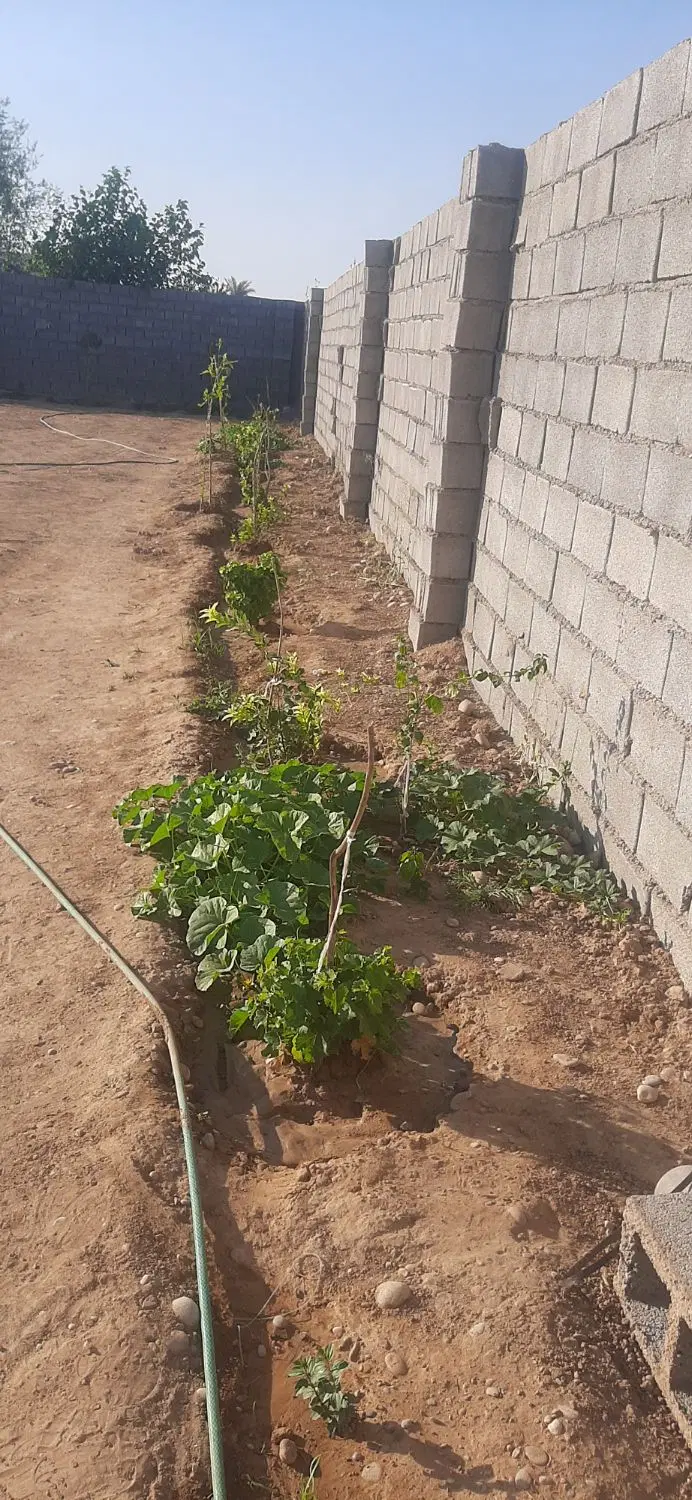 فروش یک قطعه زمین خانه باغ