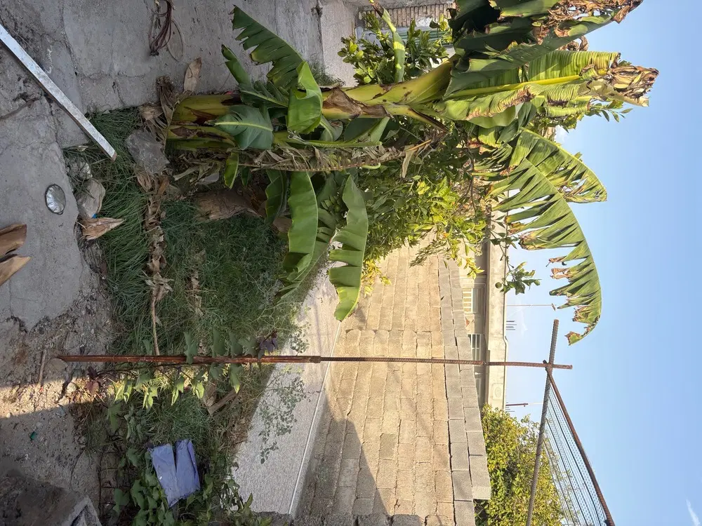 خونه مستقل ۶۰متری حیاط دار