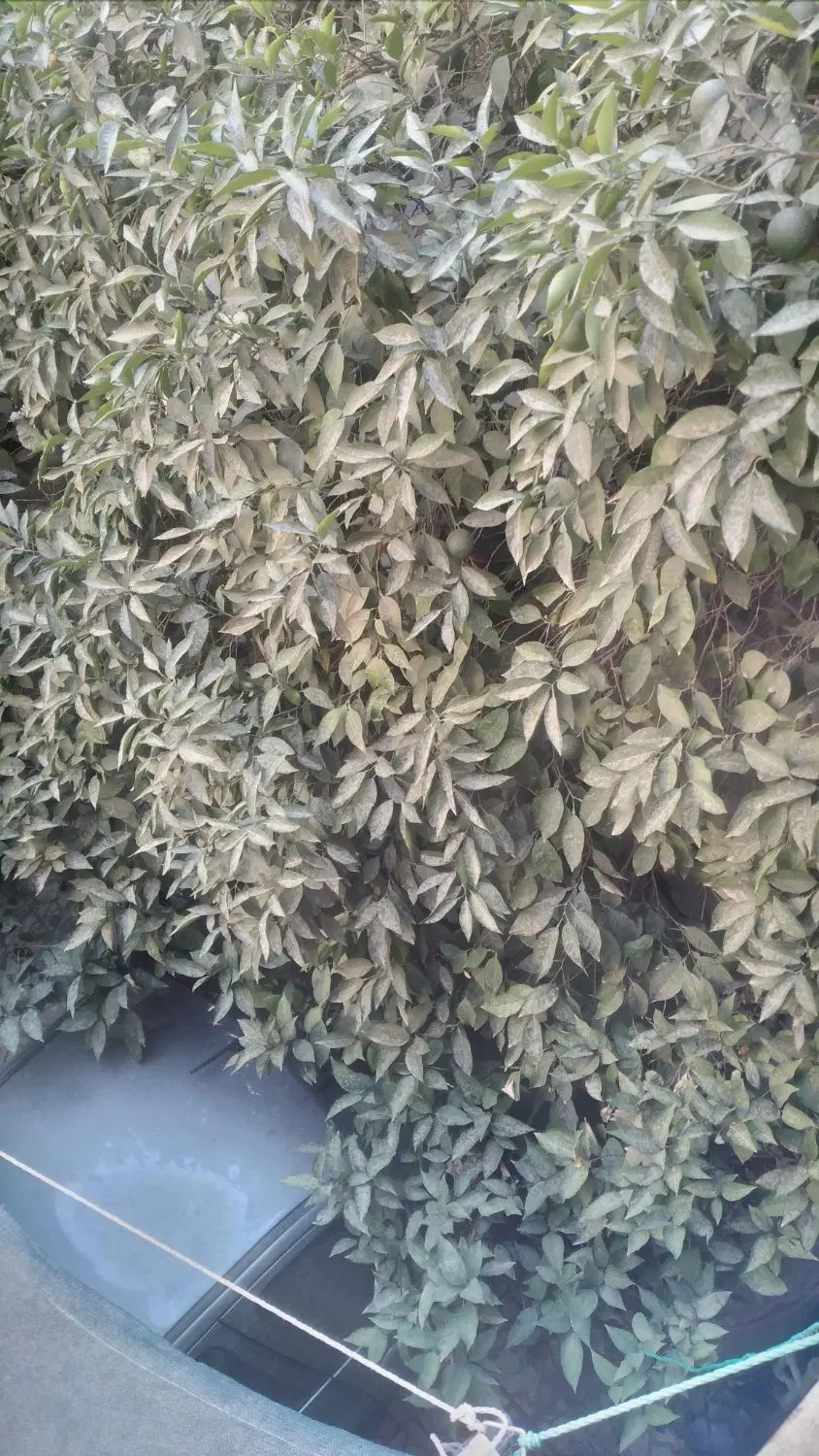 منزل ویلایی..محله بازار چهاراه ابوسعیدمخصوص طلاساز