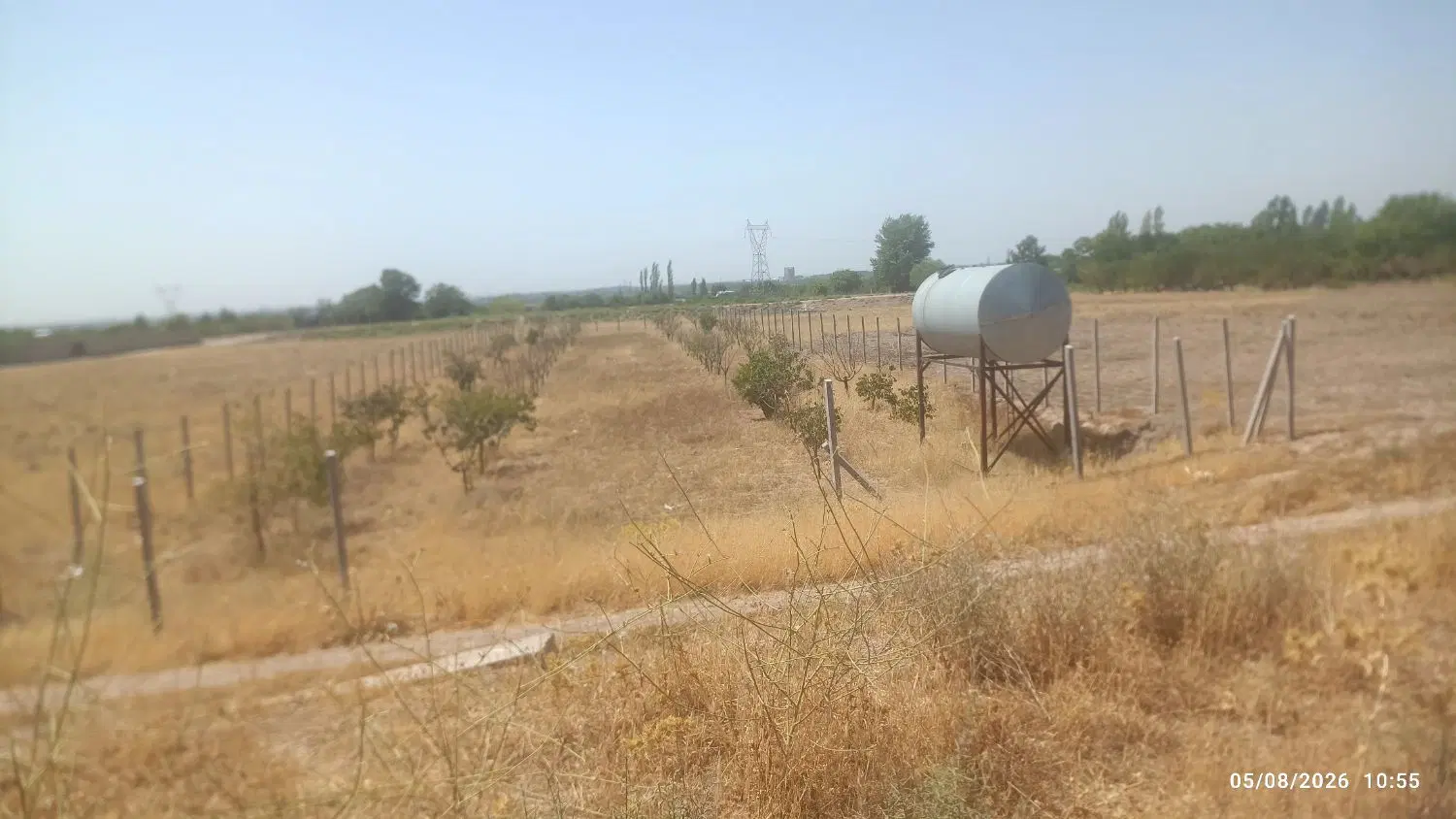 باغ نجف آباد بهر کانال بزرگ مادر