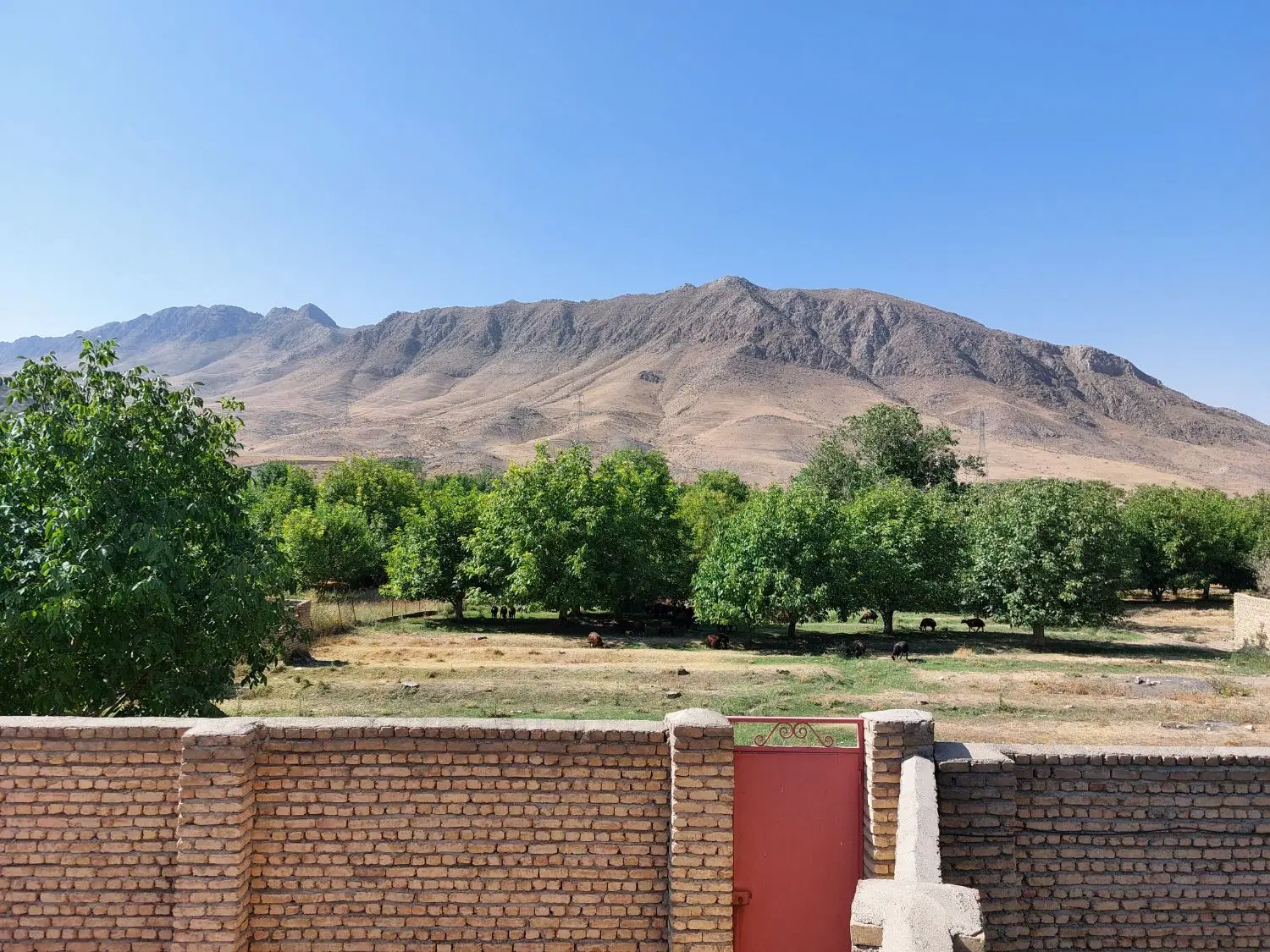 ۲۳۹ متر زمین در جاده طالقان زیاران خیابان باغستان