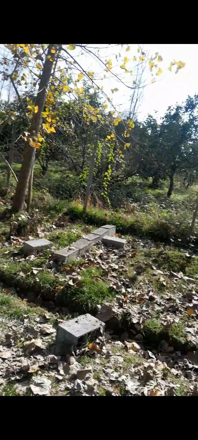 زمین۲۵۰ متر