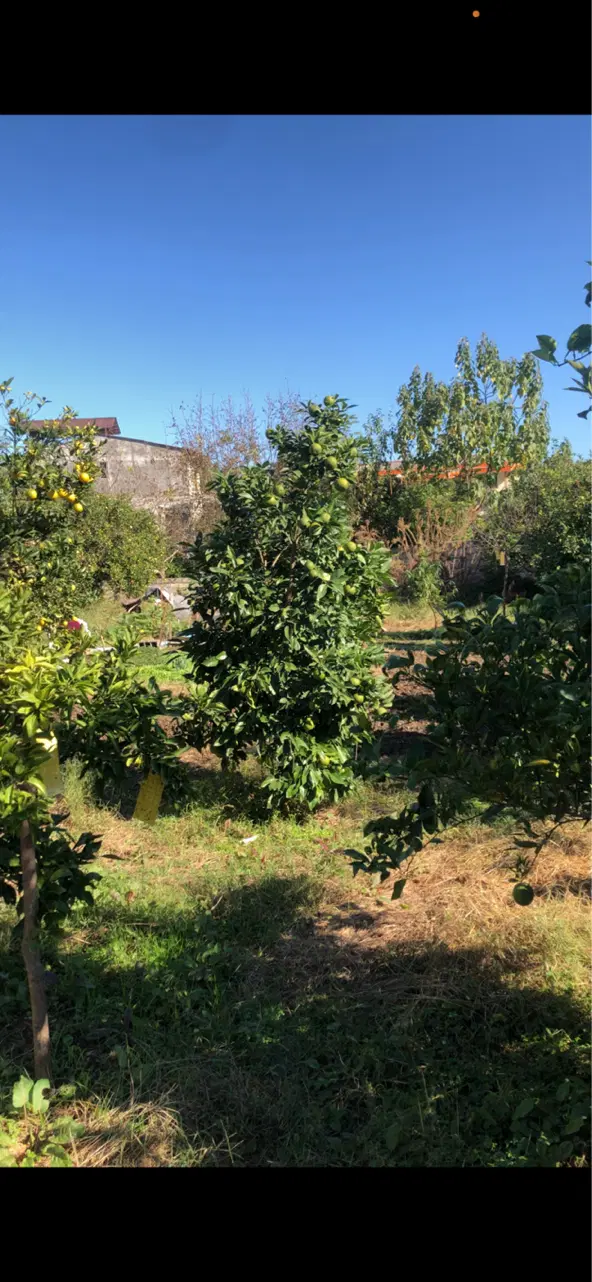فروش زمین