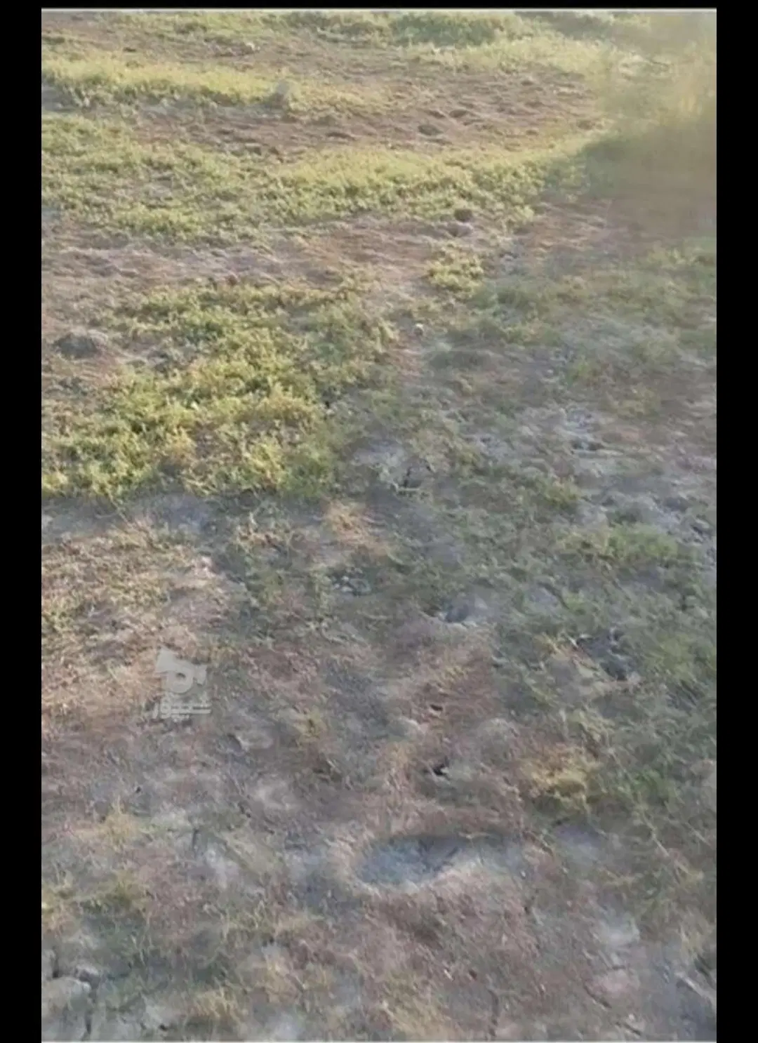 ۵۰۰متر زمین در روستای دلیجه شورحیاط ب فروش میرسد