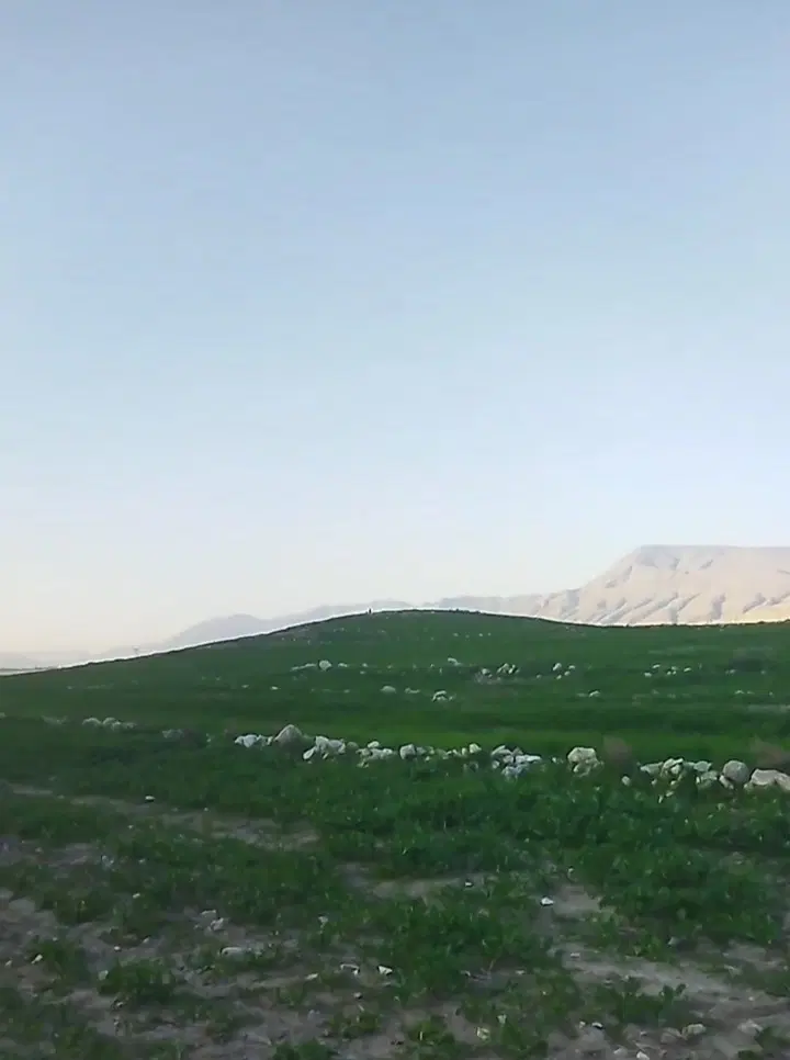 فروش یه قطعه زمین مسکونی