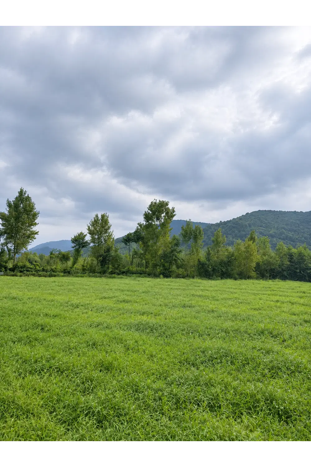 زمین کشاورزی