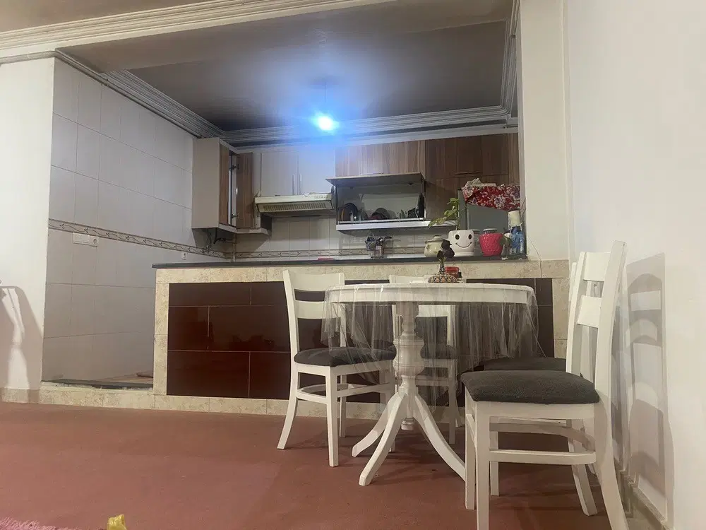هم خانه خانم