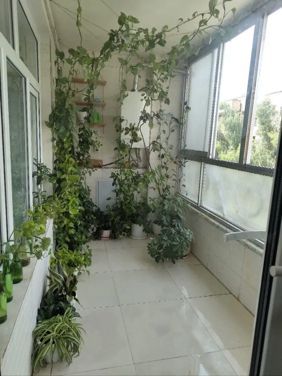 خانه آپارتمان انسجام
