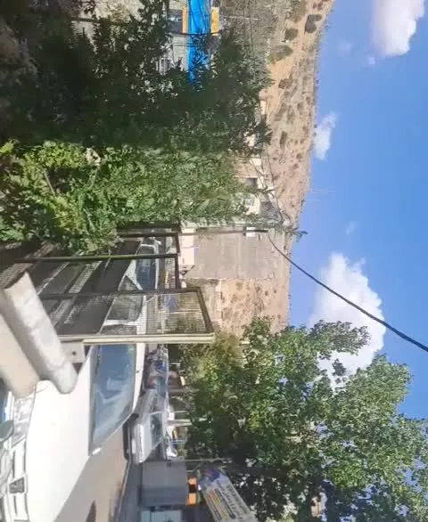 مغازه