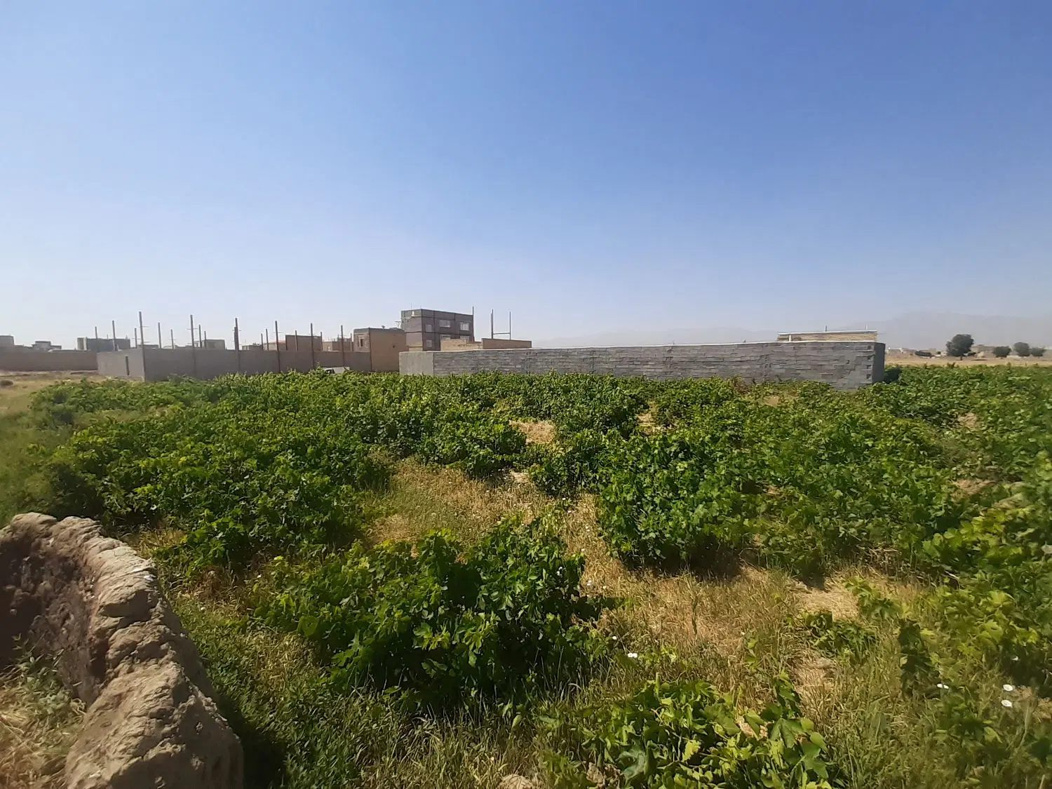 فروش زمین در جورقان