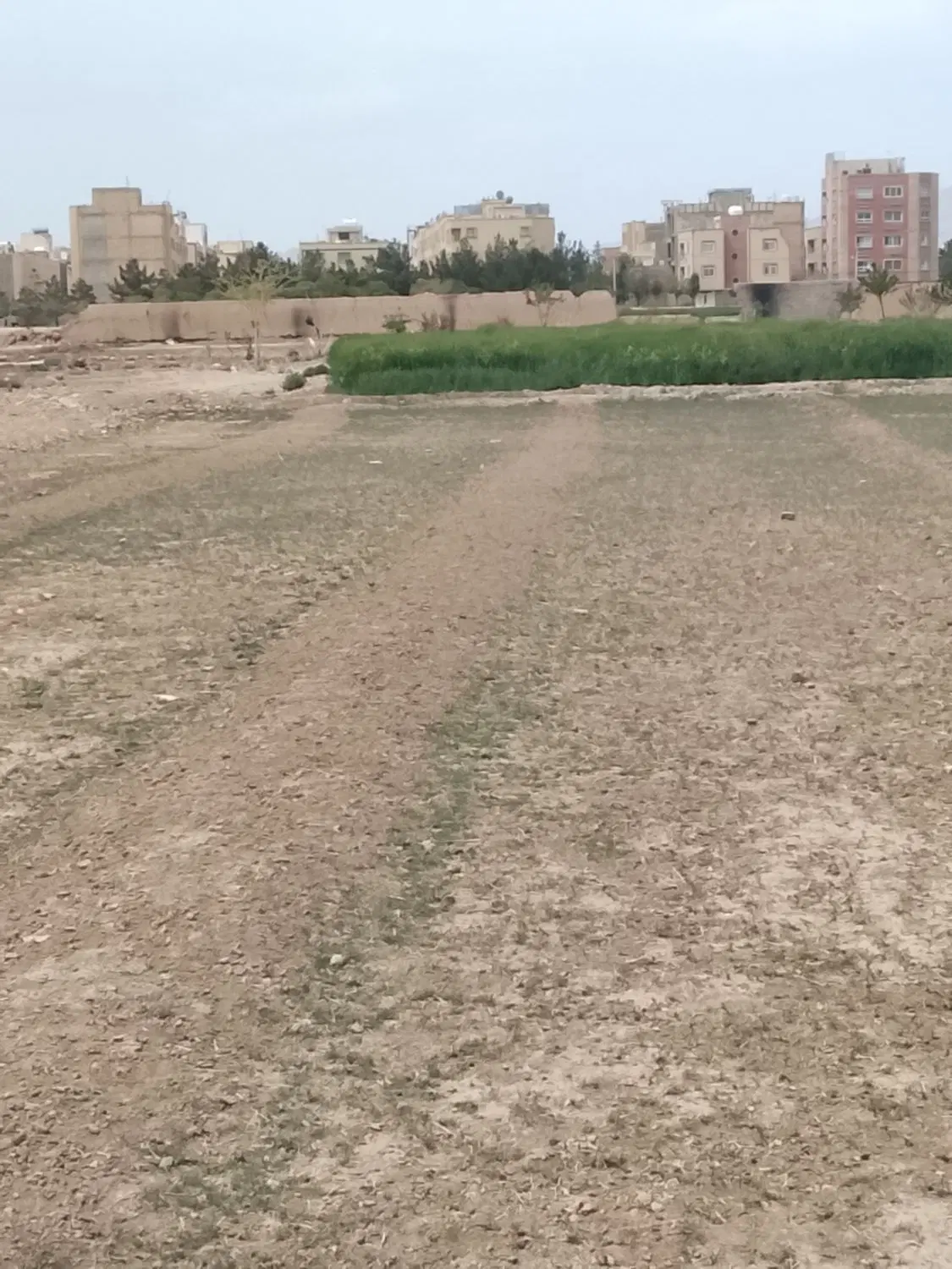 زمین کشاورزی