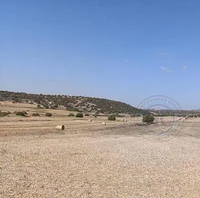 فروش زمین مسکونی پیامبراعظم 1