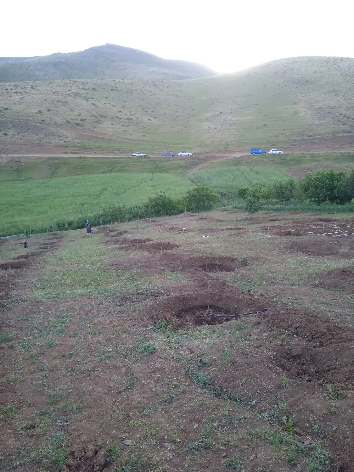 زمین با جواز گلخانه