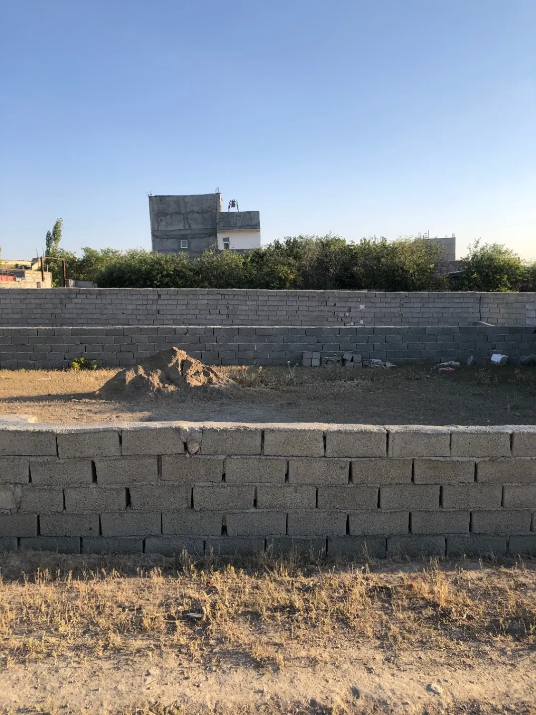 زمین شام اسبی