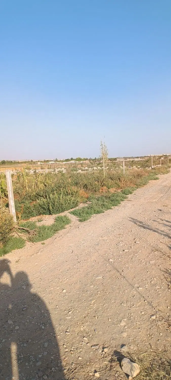 زمین فروشی در پیشک 3 بینه حسن محمد خانی