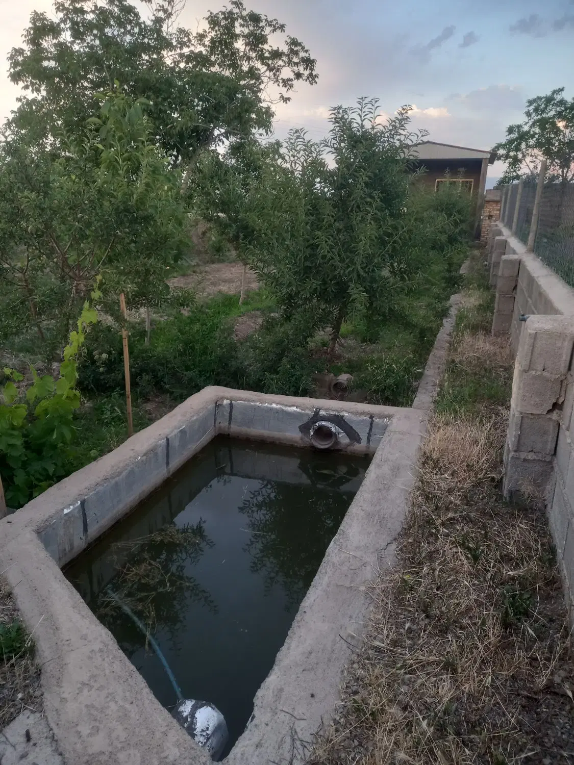 باخچه ۵۵۰متری دیزجعلیا پشت دانشگاه ازاد