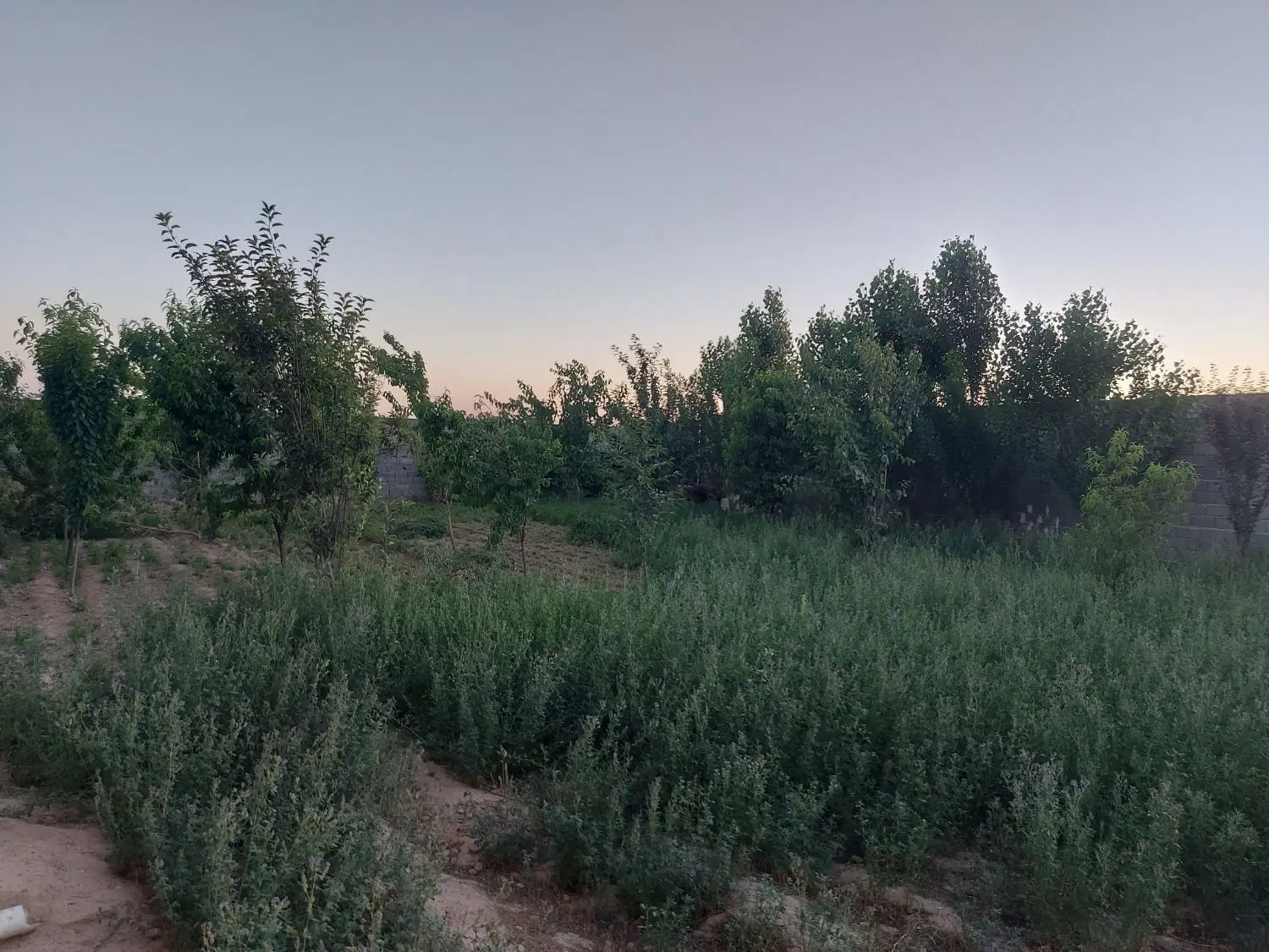 زمین چهار دیواری