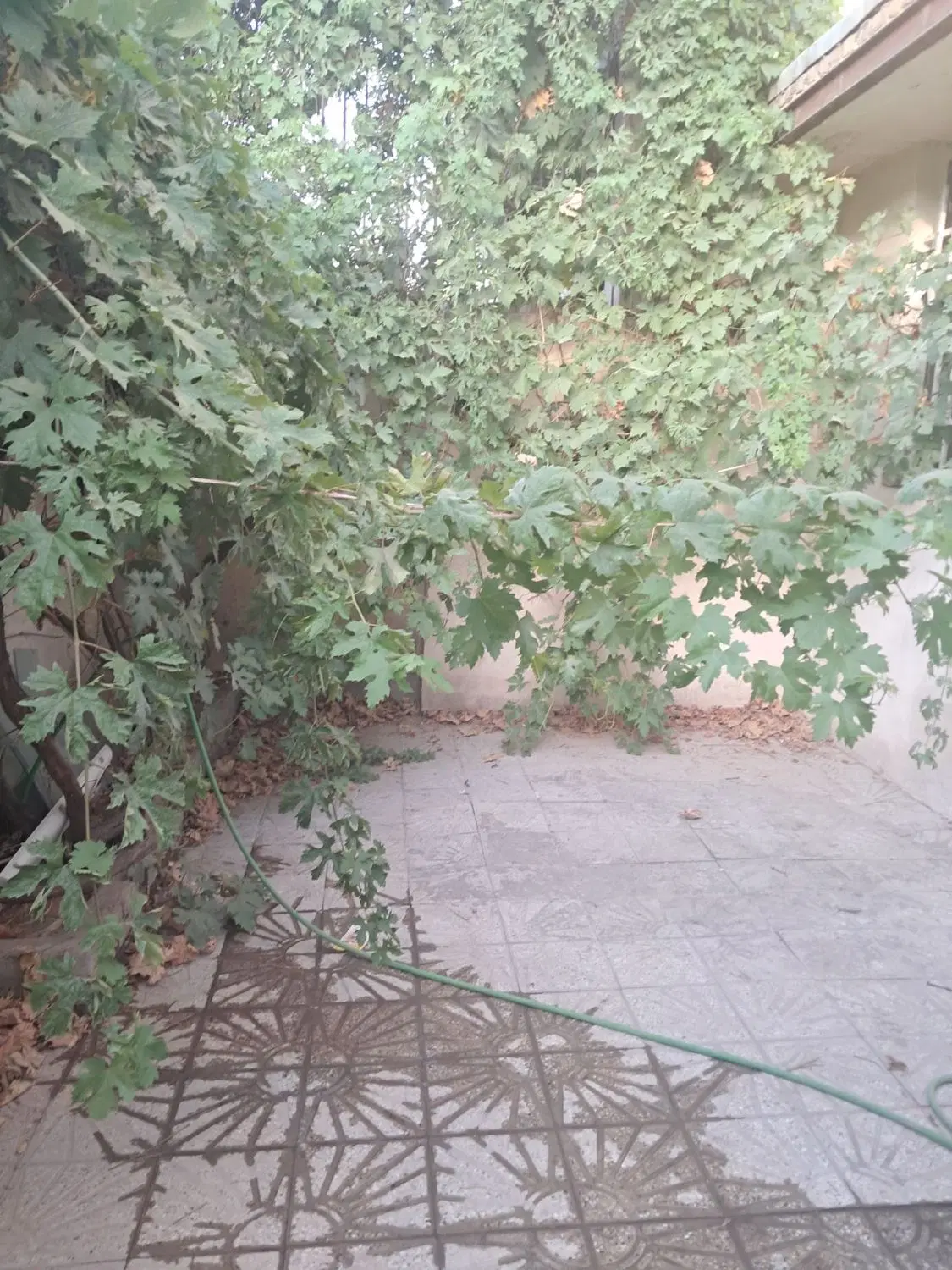 ویلایی فروشی بومهن