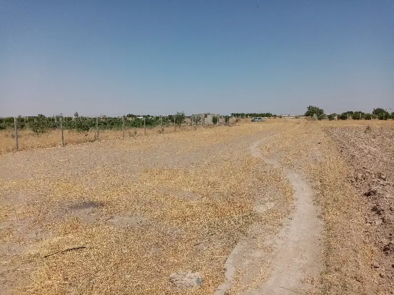 فروش زمین تنکمان