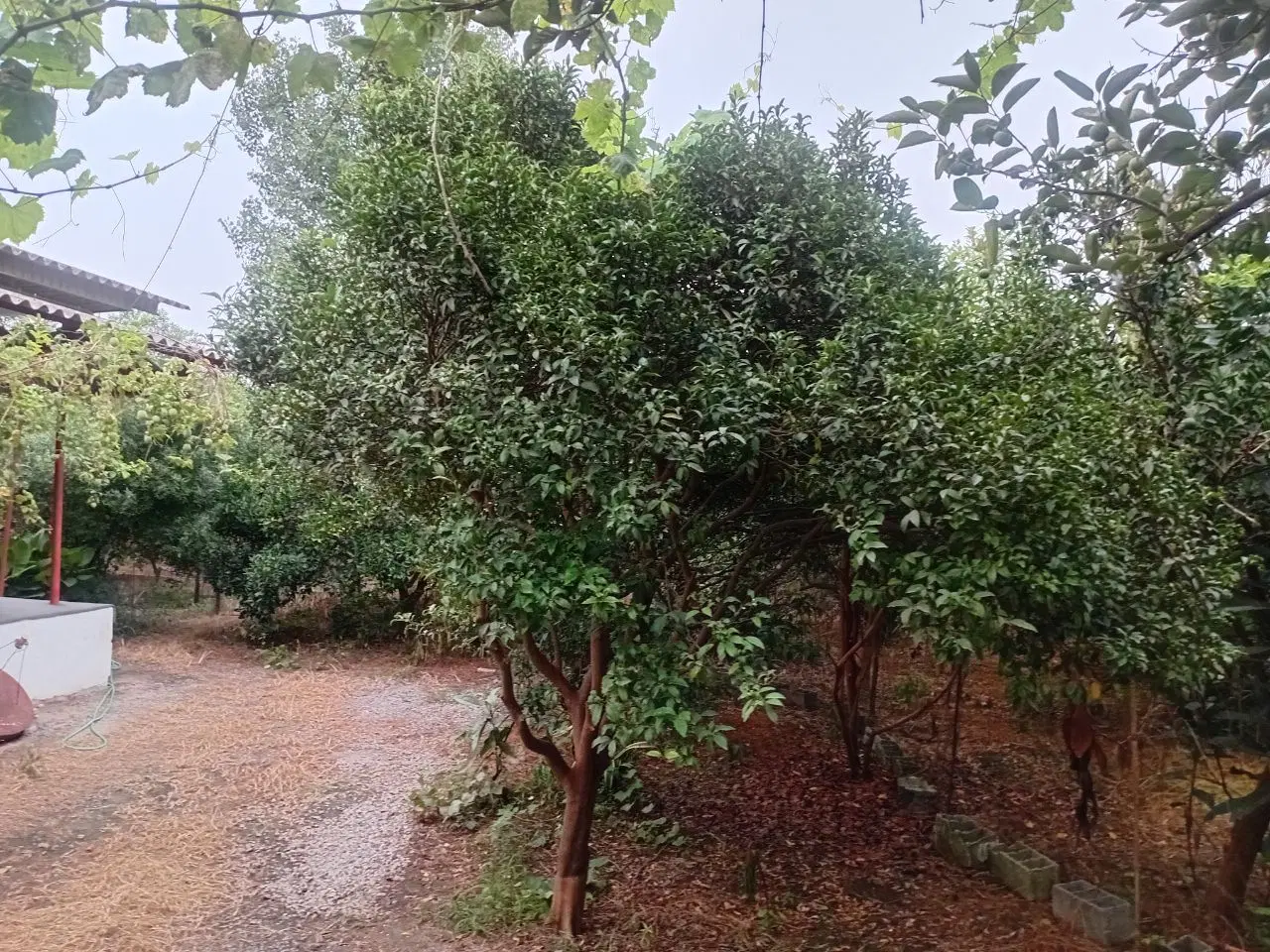 منزل اجاره ای ویلای