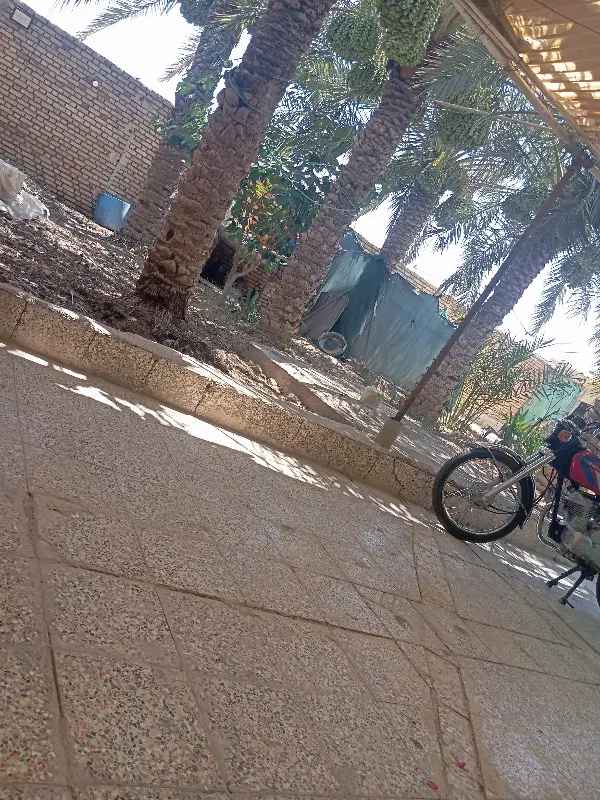 رهن و اجاره خونه در اروندکنار