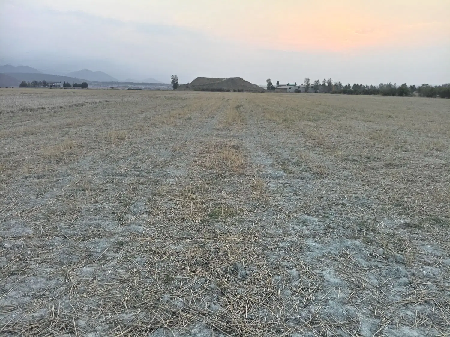زمین کشاورزی