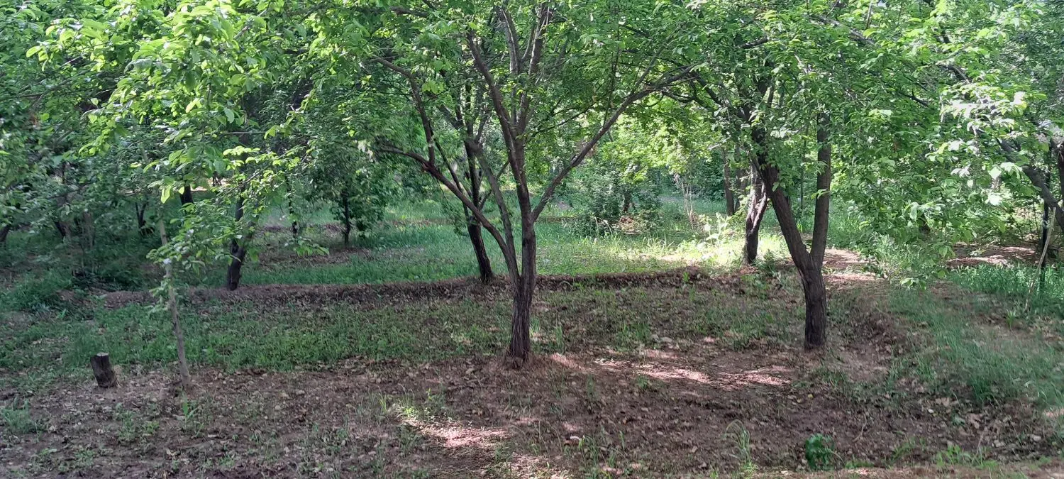 زمین زنگی آباد