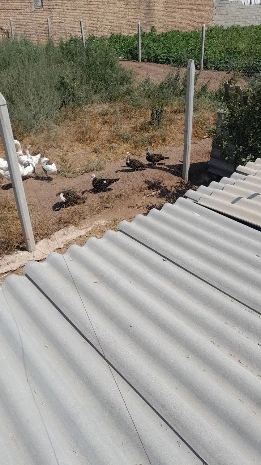 باغ ۸۸۳متر نزدیک اردبیل
