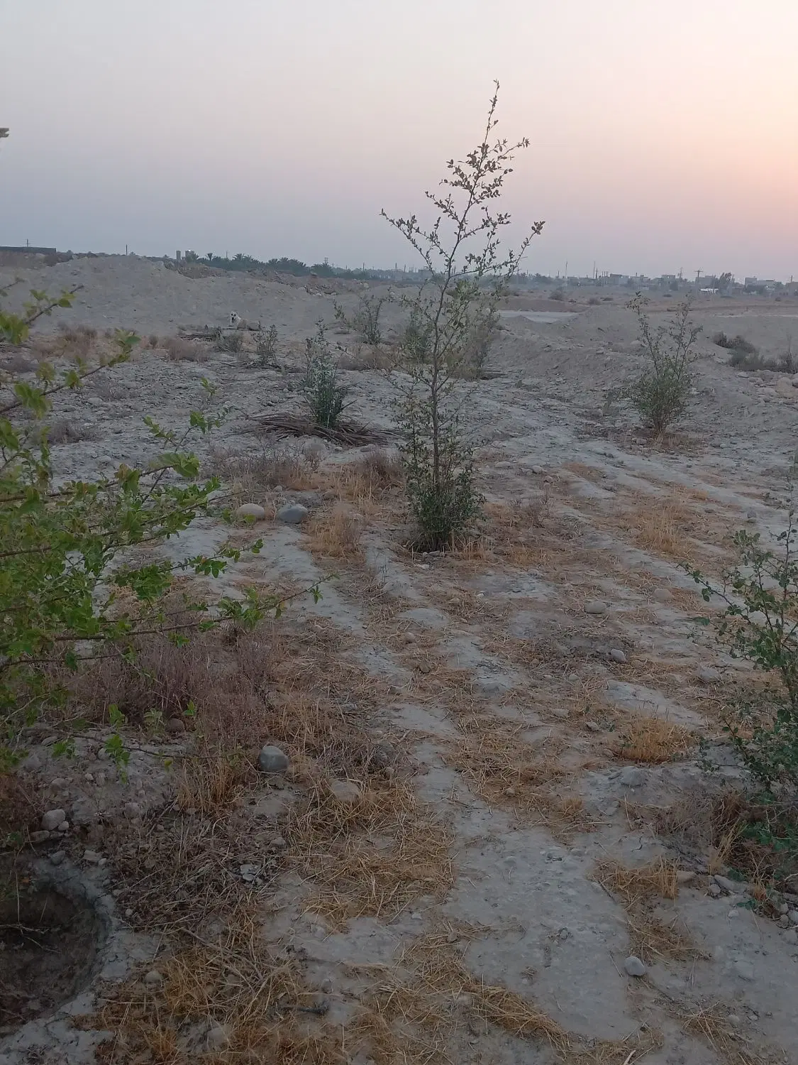 زمین کشاورزی اهرم