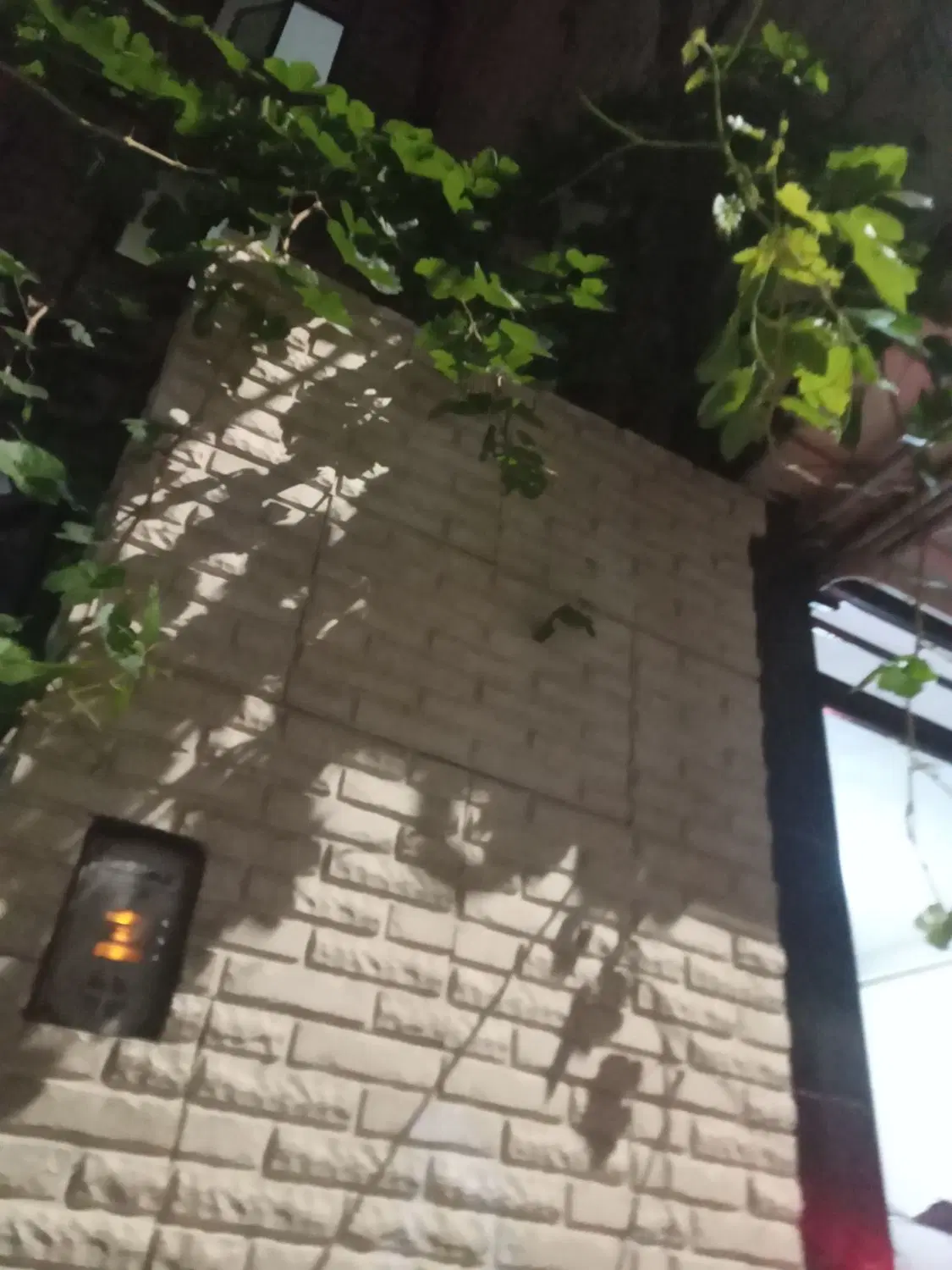 دوواحد خانه ویلایی