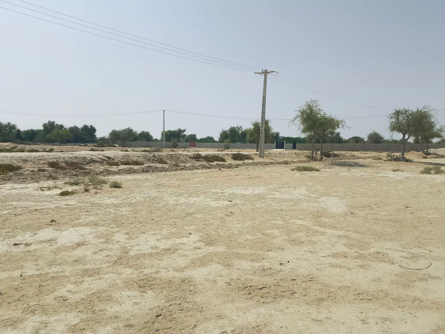 زمین کوشه کاروان