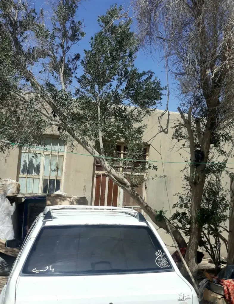 220 متر سند ششدانگ خیابان منتظری