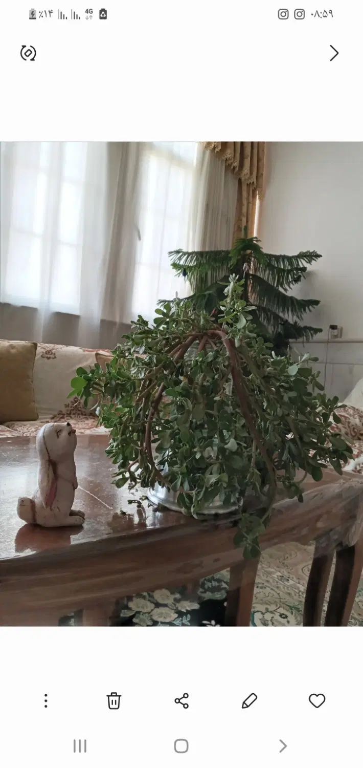 رهن و اجاره مسکونی دو خواب غرق در نور