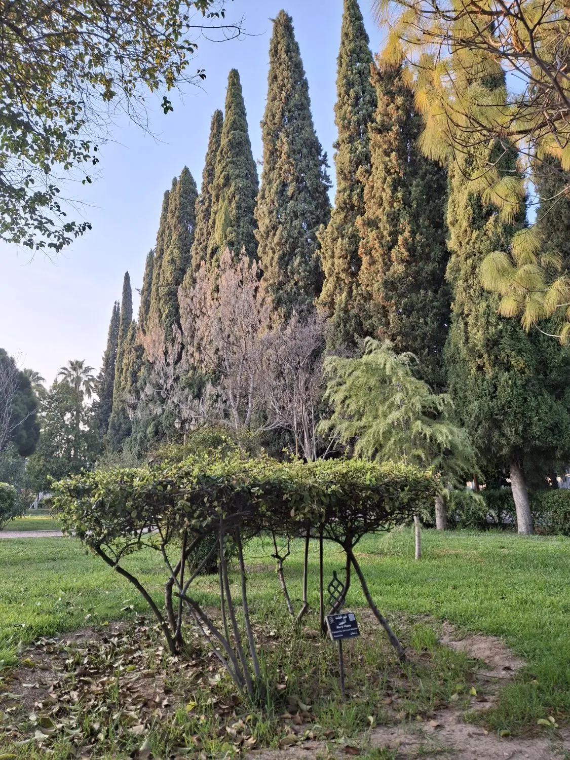 امتیاز زمین 150 متری