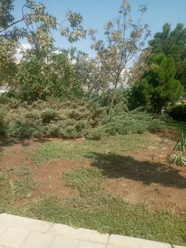اجاره خانه برای خانم نیازمند