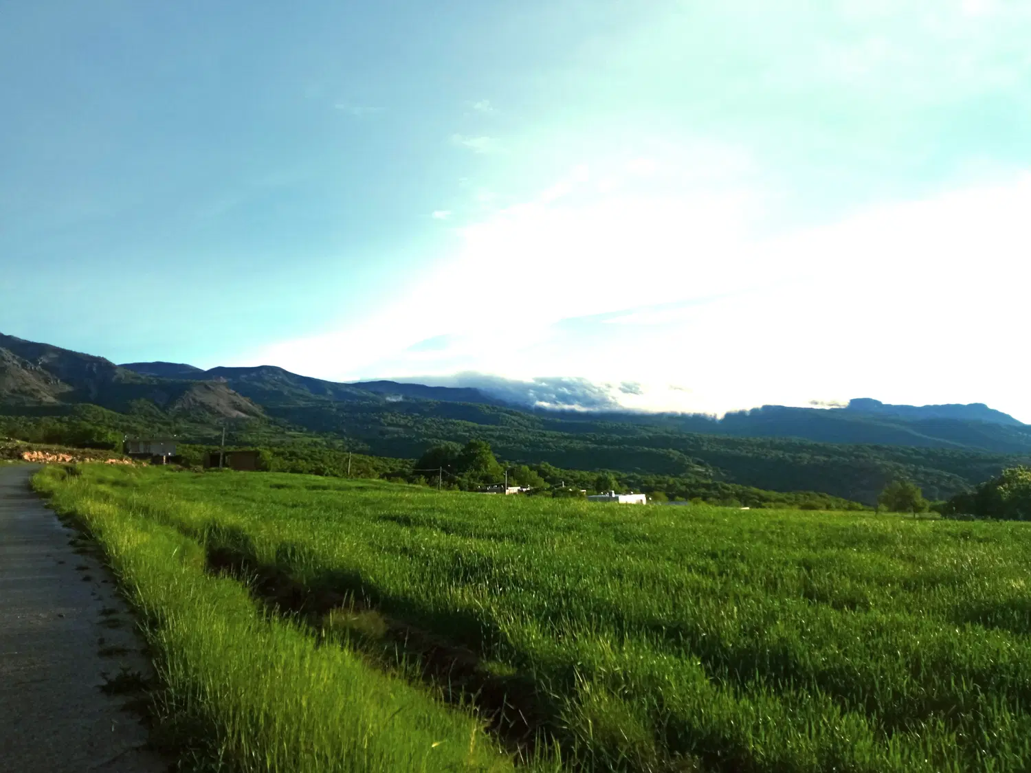 زمین روستای چنارکل