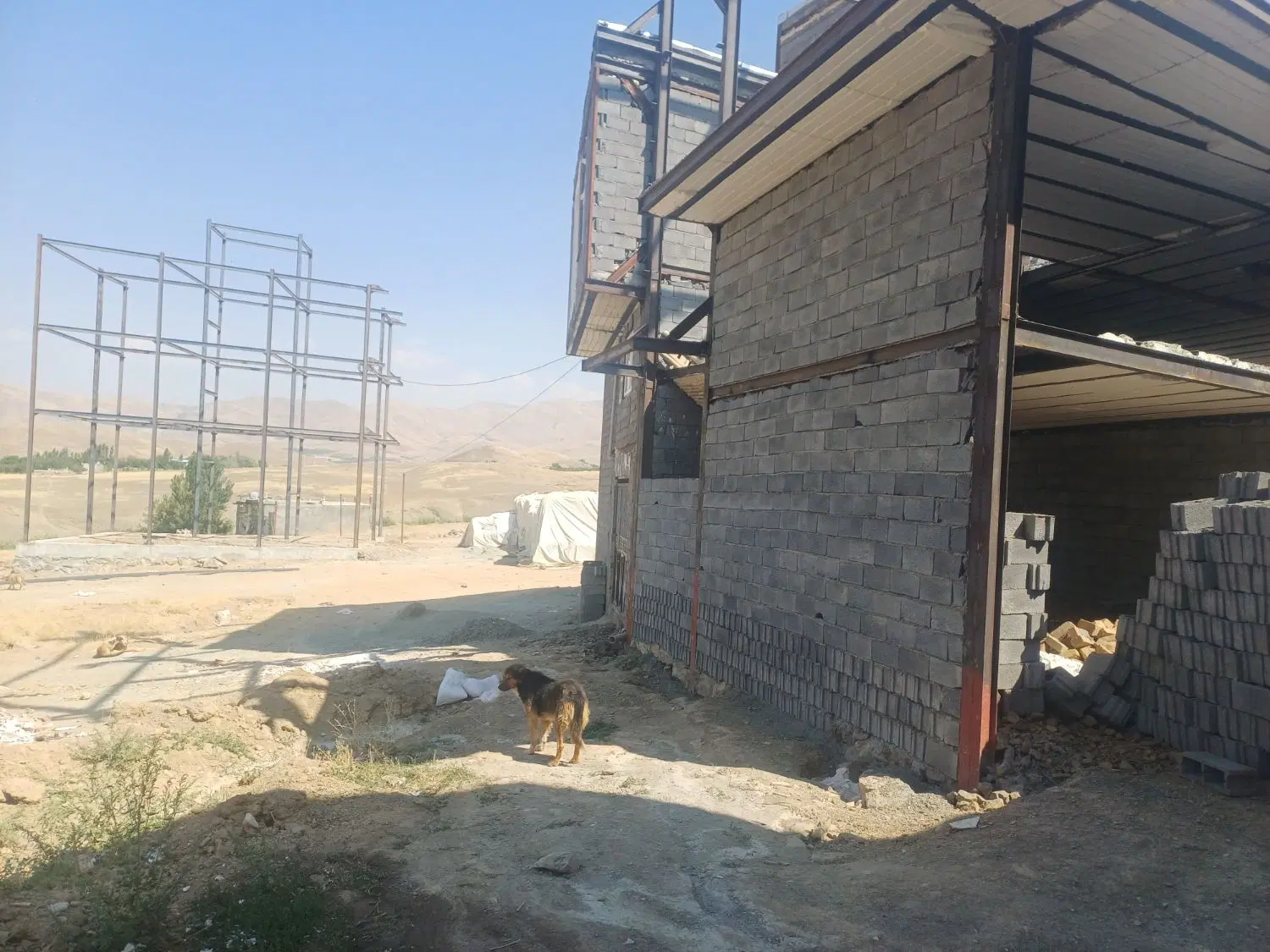 زمین ۸۶ متری نایسر