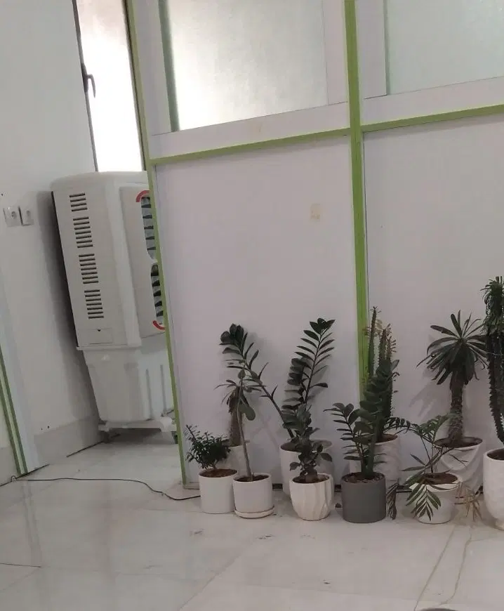 اجاره دادن همخونه دختر پیش دختر