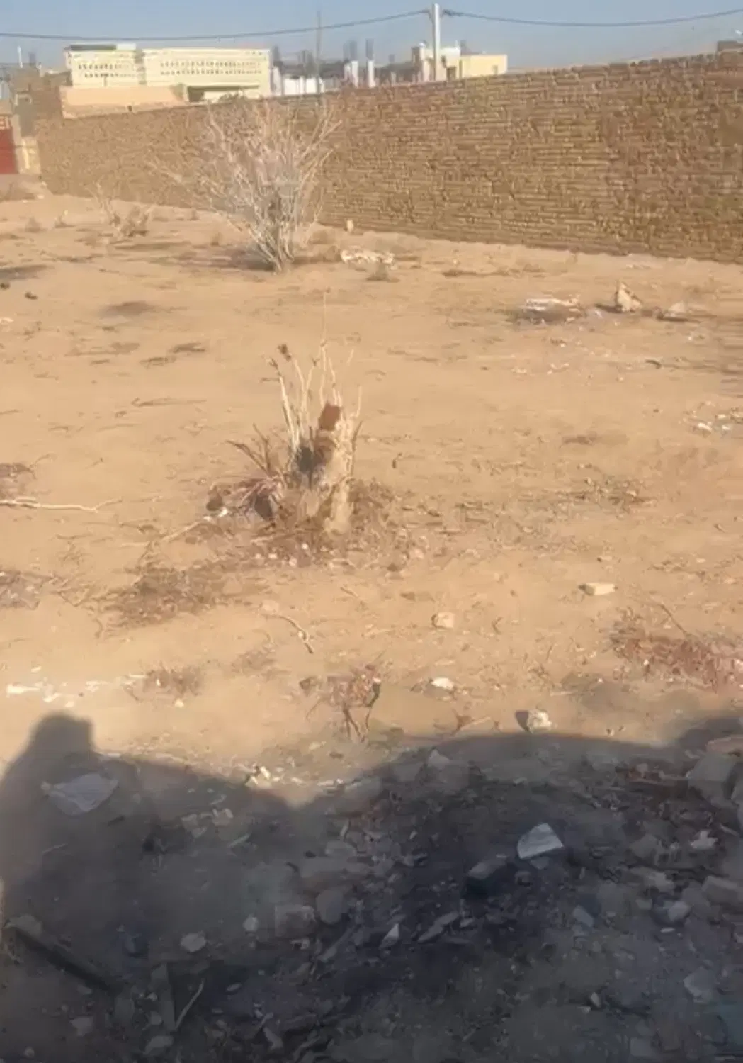 فروشنده واقعی
