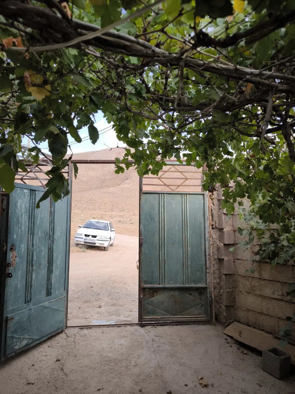 باغ نقلی میدان سیاسرد