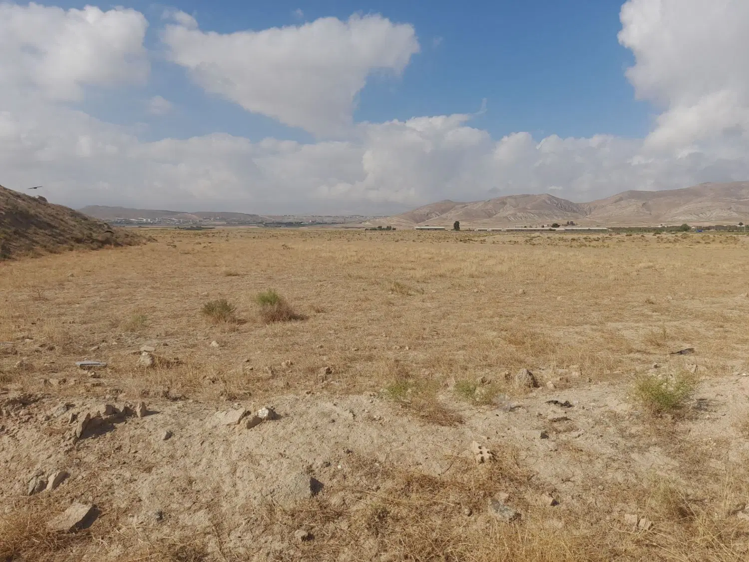 زمین کشاورزی