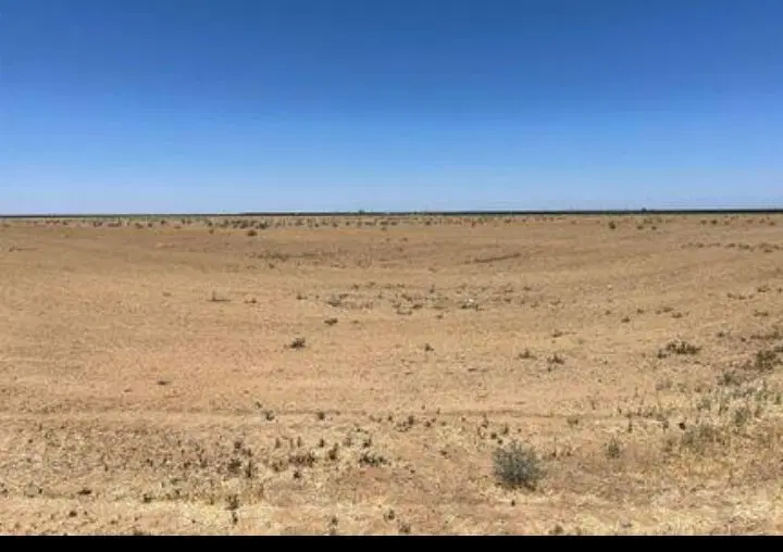 زمین