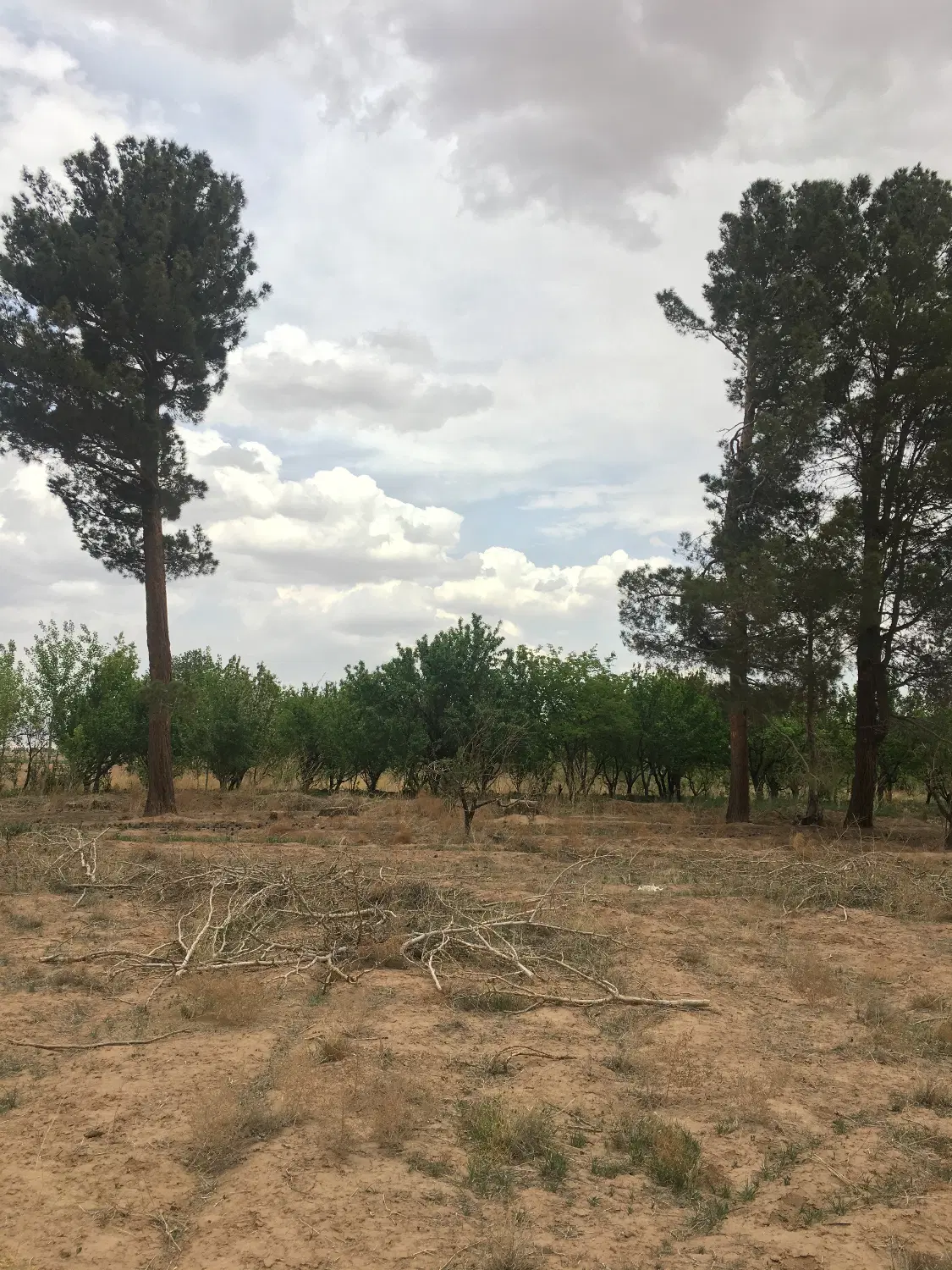 فروش زمین
