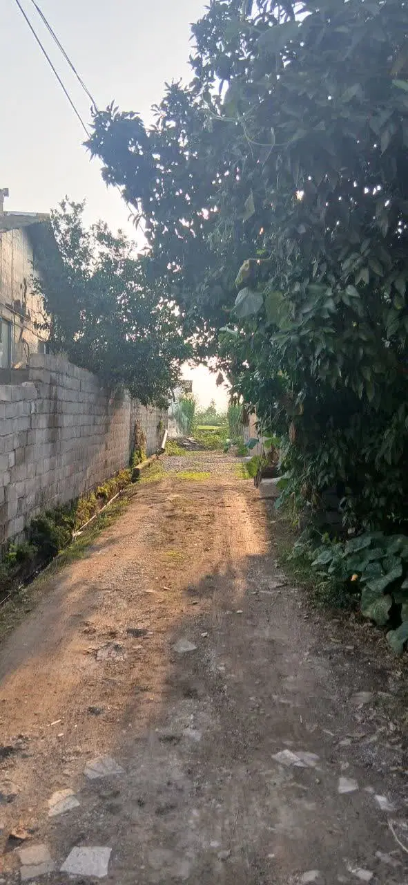 فروش