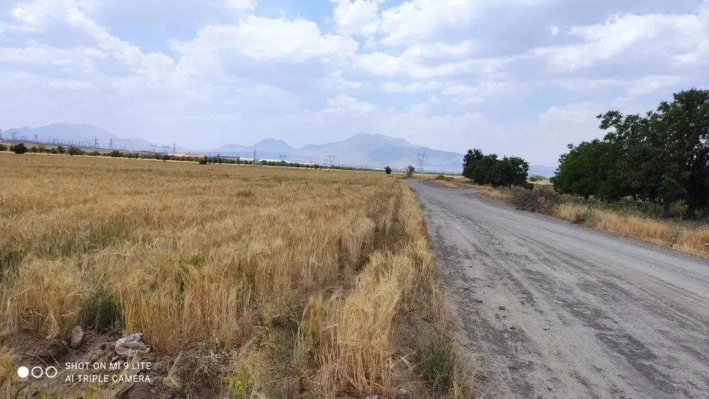 زمین کشاورزی فروشی